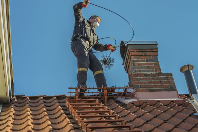 Chimney Critter Removal