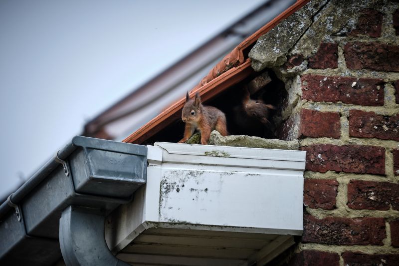 Chimney Critter Removal detail
